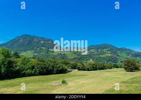 Weinberge in Santa Maddalena Piazza Walther Bozen. Trentino Alto Adige Sud Tirol, Italien und Europa. Stockfoto