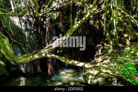 Wasserstrahlen in den Bädern der Aphrodite Wasserfall auf der Insel Zypern. Stockfoto