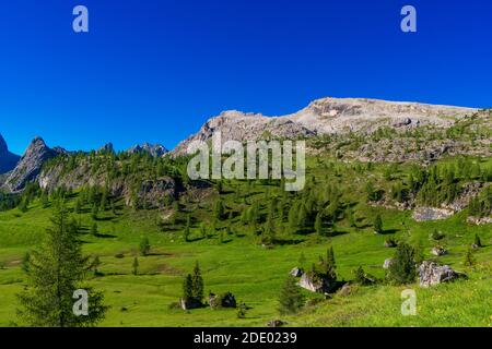 Berghütte nuvolau bei Passo Giau, Dolomiten im Frühling Stockfoto