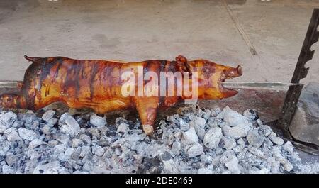 Spanferkel Kochen auf einem sardischen Spieß über dem Grill Stockfoto