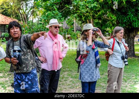 Ein Wildlife Guide, ein gebürtiger Pantanal Region, beobachtet durch sein Fernglas nach Zeichen der Wildtieraktivität, begleitet von seiner kleinen Gruppe von Stockfoto