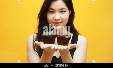 Schokoladen-Muffins in den Händen der schönen jungen asiatischen Frau. Nahaufnahme. Hochwertige Fotos Stockfoto