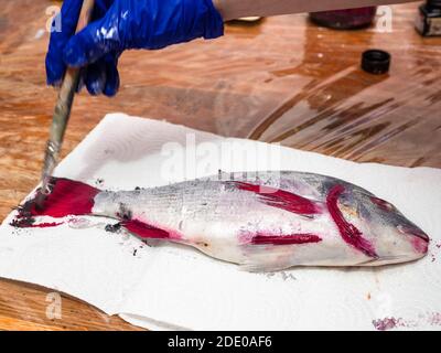 Meisterkurs für Fischzeichnen in Technik Monotype - Handglobt Farben Schwanz von rohen Orata Fisch mit roter Acrylfarbe Auf Papiertuch auf Tisch bedeckt Stockfoto