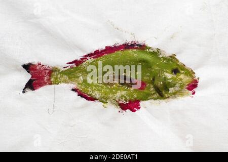 Meisterkurs für Fischzeichnen in Technik Monotype - Druck von Grün und rot gefärbter Orata-Fisch auf Calico-Stoff Stockfoto