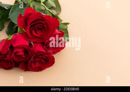 Bündel von roten Rosen liegen auf orangefarbenem Hintergrund Stockfoto