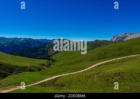 Unglaubliche Naturlandschaft in den Dolomiten Alpen. Blühende Wiese im Frühling. Blumen in den Bergen. Frühlingsfrische Blumen. Sicht auf die Berge. Panorama Stockfoto