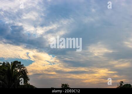 Am frühen Abend blauer Himmel über den Bäumen Stockfoto