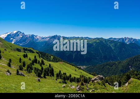 Unglaubliche Naturlandschaft in den Dolomiten Alpen. Blühende Wiese im Frühling. Blumen in den Bergen. Frühlingsfrische Blumen. Sicht auf die Berge. Panorama Stockfoto