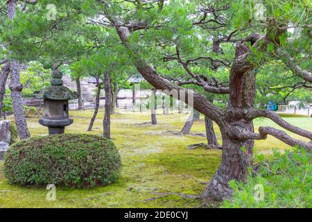 Bäume im Kyoto Imperial Palace Garden in Kyoto, Japan Stockfoto