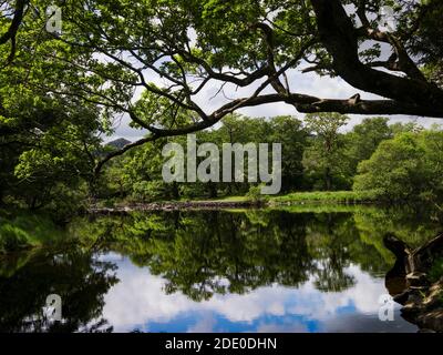 Treffen der Gewässer, Killarney National Park, County Kerry, Irland Stockfoto