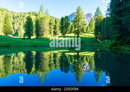 Schöner Wald, der sich am ruhigen Seeufer im Dolomite seceda, italien, spiegelt Stockfoto