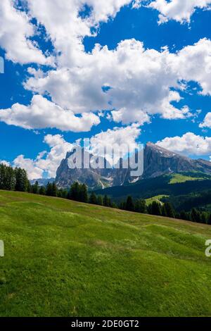 Seiser Alm - Schlerngebiet mit Seiser Alm - Schlern Berg im Hintergrund. Gelb Frühling Blumen und Holz- Lodge in Dolomiten, Trentino Alto Adi Stockfoto