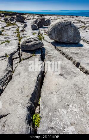 Murrooghtoohy The Burren, Co. Clare, Irland; Wilden Atlantik Weg Stockfoto