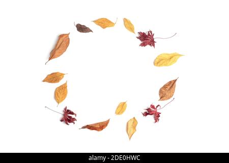Herbstblätter Rahmen auf weißem Papier Hintergrund. Stockfoto