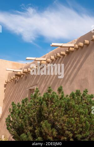 Eine Kiefer, die an der Wand der adobe Missionskirche von San Francisco de Asis wächst - St. Francis of Assissi - in Ranchos de Taos, New Mexico, USA Stockfoto