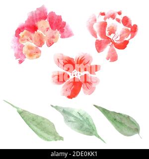 Set von Aquarell Blumen und Blätter isoliert auf weißem Hintergrund, Design-Element für Party, Hochzeit, Veranstaltung. Stockfoto