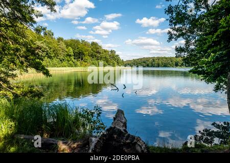 liepnitzsee in Brandenburg im Sommer, Deutschland Stockfoto