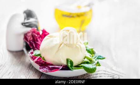 Burrato Käse auf einem Salatblatt auf einem weißen Teller. Traditioneller italienischer Weichkäse in Form eines geknoteten Beutels. Stockfoto