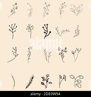 Doodle Einfache Kollektion von 20 handgezeichneten floralen Elementen. Große Sammlung von 20 handgezeichneten Zweigen. Großes Blumendesign botanischen Set. Isoliert. Stock Vektor
