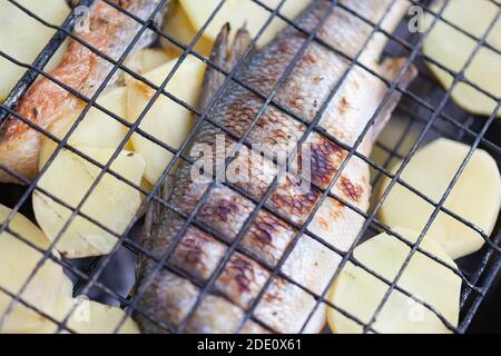 Gebratener Seebarsch mit Kartoffeln auf dem Grill Stockfoto