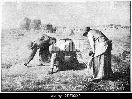 Die Gleaners (des glaneuses) ist ein Gemälde des französischen Künstlers Jean-Francois Millet. Illustration des 19. Jahrhunderts. Weißer Hintergrund. Stockfoto