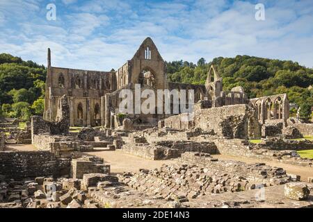 Tintern Abbey, Tintern, Wye Valley, Monmouthshire, Wales, Vereinigtes Königreich, Europa Stockfoto