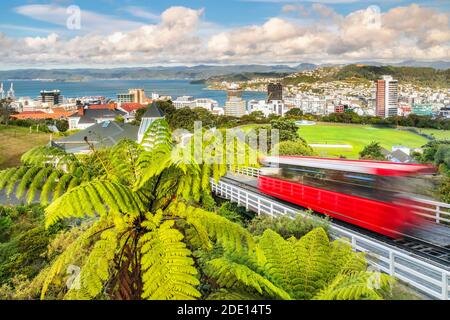 Seilbahn, Blick über Wellington, Nordinsel, Neuseeland, Pazifik Stockfoto