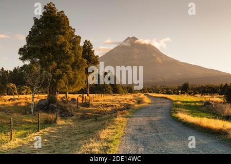 Mount Taranaki bei Sonnenuntergang, 2518m, Egmont National Park, Taranaki, Nordinsel, Neuseeland, Pazifik Stockfoto