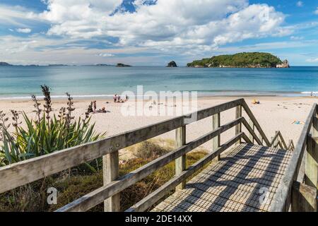 Hahei Beach, Coromandel Peninsula, Waikato, Nordinsel, Neuseeland, Pazifik Stockfoto