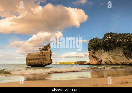 Strand von Mare's Leg Cove, Cathedral Cove Marine Reserve, Coromandel Peninsula, Waikato, Nordinsel, Neuseeland, Pazifik Stockfoto