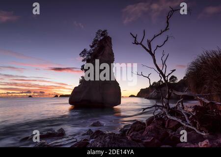 Cathedral Cove bei Sonnenaufgang, Cathedral Cove Marine Reserve, Coromandel Peninsula, Waikato, Nordinsel, Neuseeland, Pazifik Stockfoto
