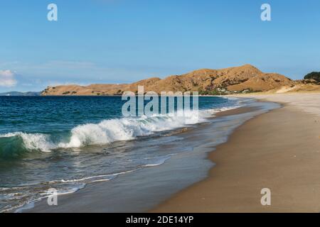 Otama Beach, in der Nähe von Whitianga Village, Coromandel Peninsula, Waikato, Nordinsel, Neuseeland, Pazifik Stockfoto