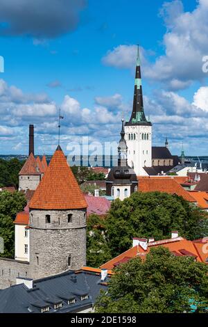 Blick über die Altstadt von Tallinn, UNESCO-Weltkulturerbe, Estland, Europa Stockfoto