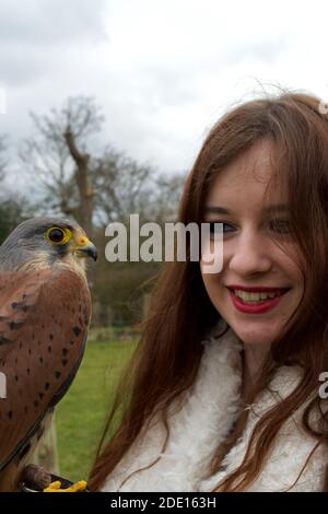 Eine junge Dame mit langen braunen Haaren, lächelnd und mit einem kleinen braunen Kestrel (falco tinnunculus) Stockfoto