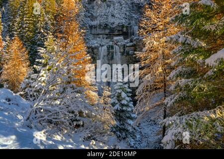 Schöner Wasserfall Vallesinella im Herbst im Nationalpark Adamello-Brenta,Trentino Italien Dolomiten Stockfoto