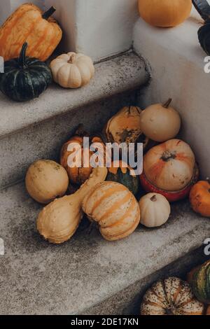 Vielzahl von verschiedenen Arten von Kürbissen und Squashes vor der Haustür eines Hauses, halloween-Dekor. Stockfoto