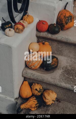 Vielzahl von verschiedenen Arten von Kürbissen und Squashes vor der Haustür eines Hauses, halloween-Dekor. Stockfoto