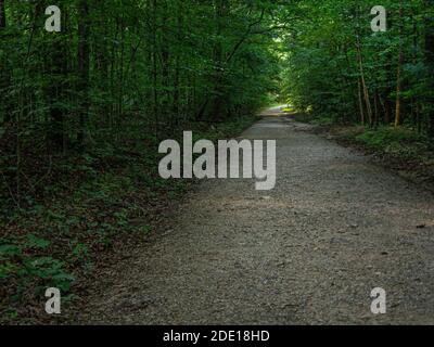 Gerade Schotterweg durch schwere Wälder im Sommer mit Licht am Ende eines Tunnels aus Grün Stockfoto