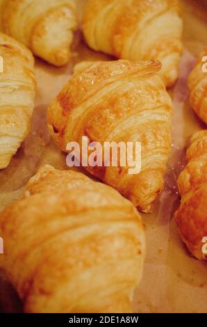 Verschiedene Croissants frisch aus dem Ofen gebacken Stockfoto