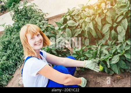 Europäische Bäuerin in der Nähe der Betten mit reifem Gemüse Stockfoto