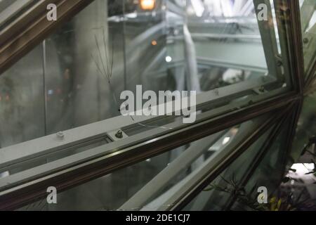 Seattle, USA. November 2020. Spät am Abend zertrümmerten die Fenster an den Amazonas-Sphären von einem Protest in der Nacht zuvor. Stockfoto