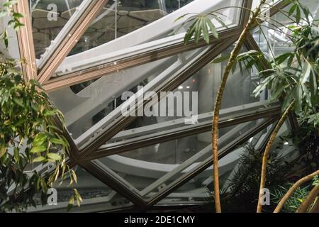 Seattle, USA. November 2020. Spät am Abend zertrümmerten die Fenster an den Amazonas-Sphären von einem Protest in der Nacht zuvor. Stockfoto