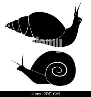 Set von schwarzen Silhouette Schnecken in verschiedenen Formen. Objekte sind vom Hintergrund getrennt. Einfache Cartoon-Vektor-Bild für Logos, Symbole, Infografik Stock Vektor