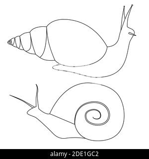 Set von Umrissschnecken in verschiedenen Formen. Objekte sind vom Hintergrund getrennt. Einfaches Konturvektorbild für Logos, Icons, Infografik und Ihre Stock Vektor