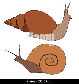 Set von konturgefärbten Schnecken in verschiedenen Formen. Objekte sind vom Hintergrund getrennt. Einfache Cartoon-Vektor-Bild für Logos, Symbole und Ihr Design Stock Vektor