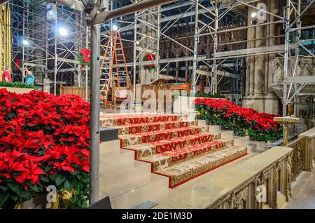 Innenraum der St. Patrick's Cathedral. Renovierungsarbeiten werden durchgeführt. Weihnachtsdekoration mit roten Blumen. Manhattan, New York City, USA Stockfoto