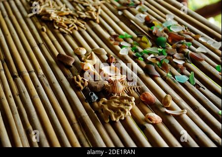 Gebrochen, verfilzte Stücke von bunten Glas poliert mit Meerwasser und Muscheln auf Bambus. Stockfoto