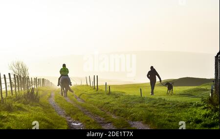 Brighton UK 28. November 2020 - EIN Reiter und Hundewanderer Genießen Sie einen schönen Morgen auf der Brighton Racecourse, wenn die Sonne beginnt, den frühen Nebel zu verbrennen. : Credit Simon Dack / Alamy Live News Stockfoto