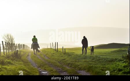 Brighton UK 28. November 2020 - EIN Reiter und Hundewanderer Genießen Sie einen schönen Morgen auf der Brighton Racecourse, wenn die Sonne beginnt, den frühen Nebel zu verbrennen. : Credit Simon Dack / Alamy Live News Stockfoto