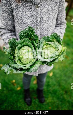 Frau mit zwei Köpfen wirsing Stockfoto